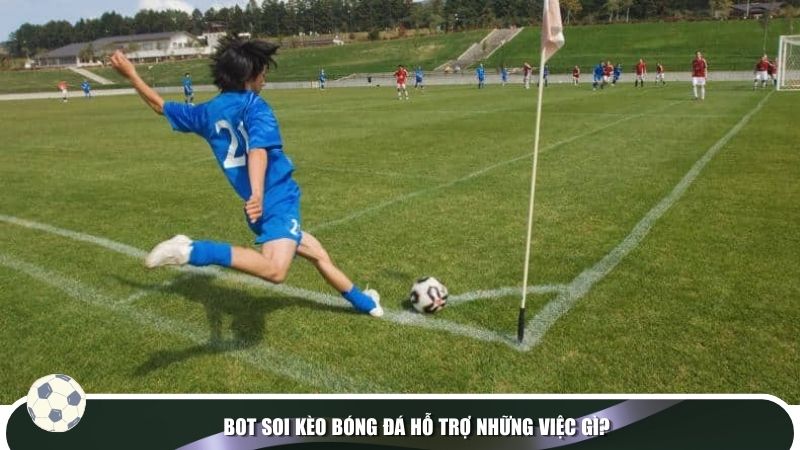 Bot soi kèo bóng đá hỗ trợ những việc gì?