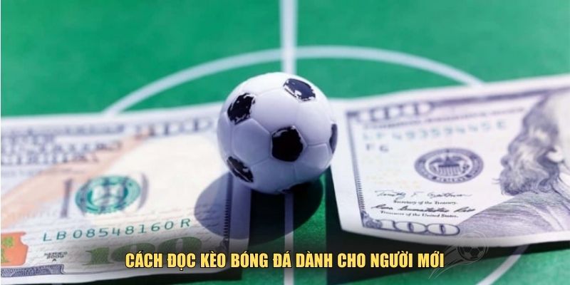 Cách đọc kèo bóng đá tham khảo cho người chơi mới
