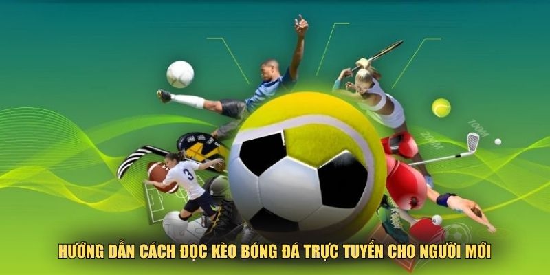 Hướng dẫn cách đọc kèo bóng đá trực tuyến cho người mới