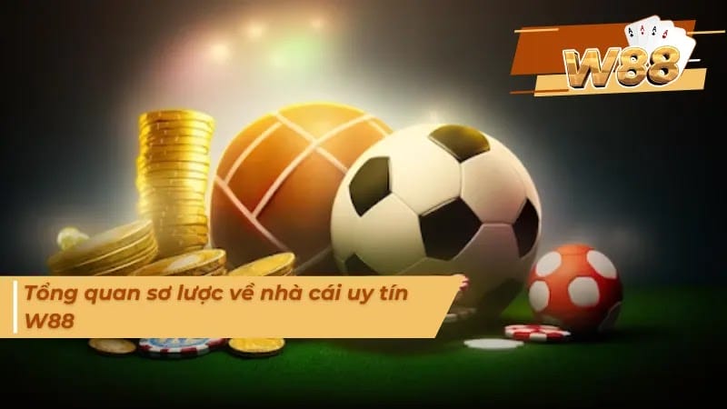 W88 là một nhà cái uy tín hoạt động lâu năm trên thị trường